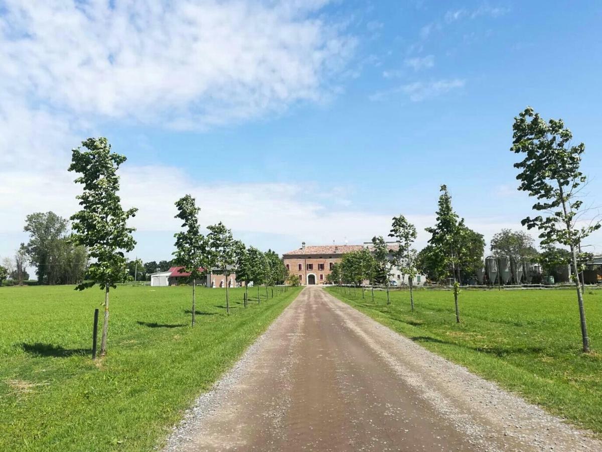 New Flowers Farm B&B Ночето Экстерьер фото