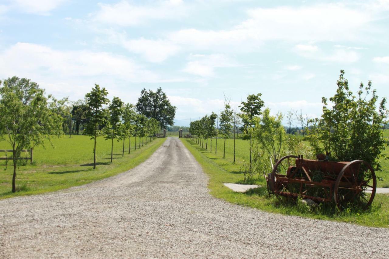 New Flowers Farm B&B Ночето Экстерьер фото